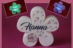 LED-Blume-Hanna